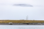 230905a_Ebeltofthamna_11_E
