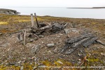 230905a_Ebeltofthamna_17_E