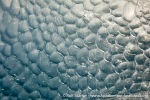 180917a_Liefdefjord_180_E