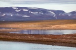 230904a_Worsleyneset_040_E