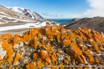 a4s_Texas-Bar_21Juli14_048_E