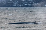 231108a_Kvaenangen_06_E