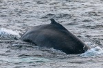 231108a_Kvaenangen_19_E