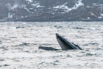 231108a_Kvaenangen_59_E
