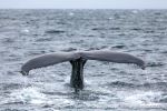 231108a_Kvaenangen_78_E
