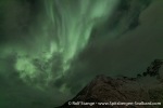 231108b_Reinfjord_42_E