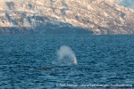 231109b_Kvaenangen_17_E