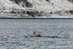 231109b_Kvaenangen_51_E