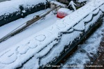 231110a_Spildra_004_E