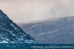 231110a_Spildra_006_E