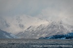 231110a_Spildra_110_E