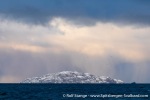 231110a_Spildra_154_E