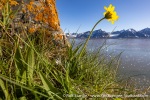 230705c_Ossian-Sarsfjellet_077_E