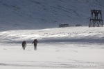 240413_Skimarathon_23_E