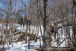 240427c_Digermulen_005_E