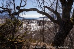 240427c_Digermulen_017_E