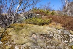 240427c_Digermulen_022_E