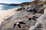 240429a_Tranoy_005_E