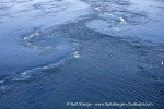 240502e_Saltstraumen_08_E