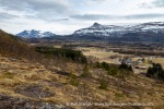 240503a_Mjelle_001_E