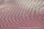 240503a_Mjelle_032_E