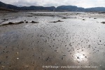 240503a_Mjelle_113_E