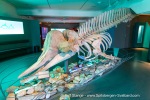 240425a_Tromsoe_053_E