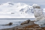 240524a_Sarstangen_20_E