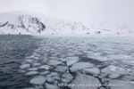 240526b_St-Jonsfjord_15_E