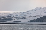 240601a_Engelskbukta_20_E
