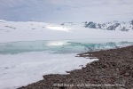 240603c_Alicehamna_10_E