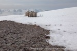 240603c_Alicehamna_14_E