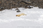 240604d_Kobbefjord_05_E