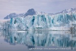 240605b_Lilliehookbreen_82_E