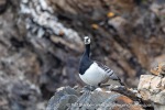 240605c_Fjortende-Julibukta_12_E