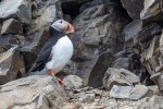 240605c_Fjortende-Julibukta_25_E