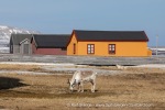 240606a_Ny-Alesund_35_E