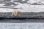 240601a_Engelskbukta_05_E