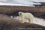 240601a_Engelskbukta_56_E
