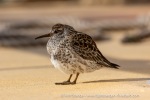 240602b_Segeln_64_E