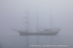 240603a_Hamiltonbukta_122_E