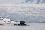240604b_Fuglefjord_02_E