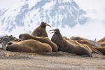 240606b_Sarstangen_33_E