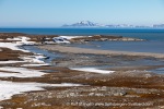240607a_Eidembukta_04_E