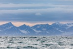 240701b_Isfjord_05_E