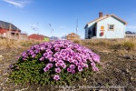 240702c_Ny-Alesund_030_E