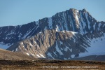 240702c_Ny-Alesund_167_E