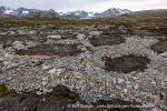 240703b_Blomstrand_86_E