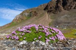 240704a_Fjortende-Julibukta_092_E