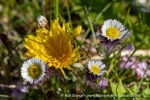 240704a_Fjortende-Julibukta_159_E